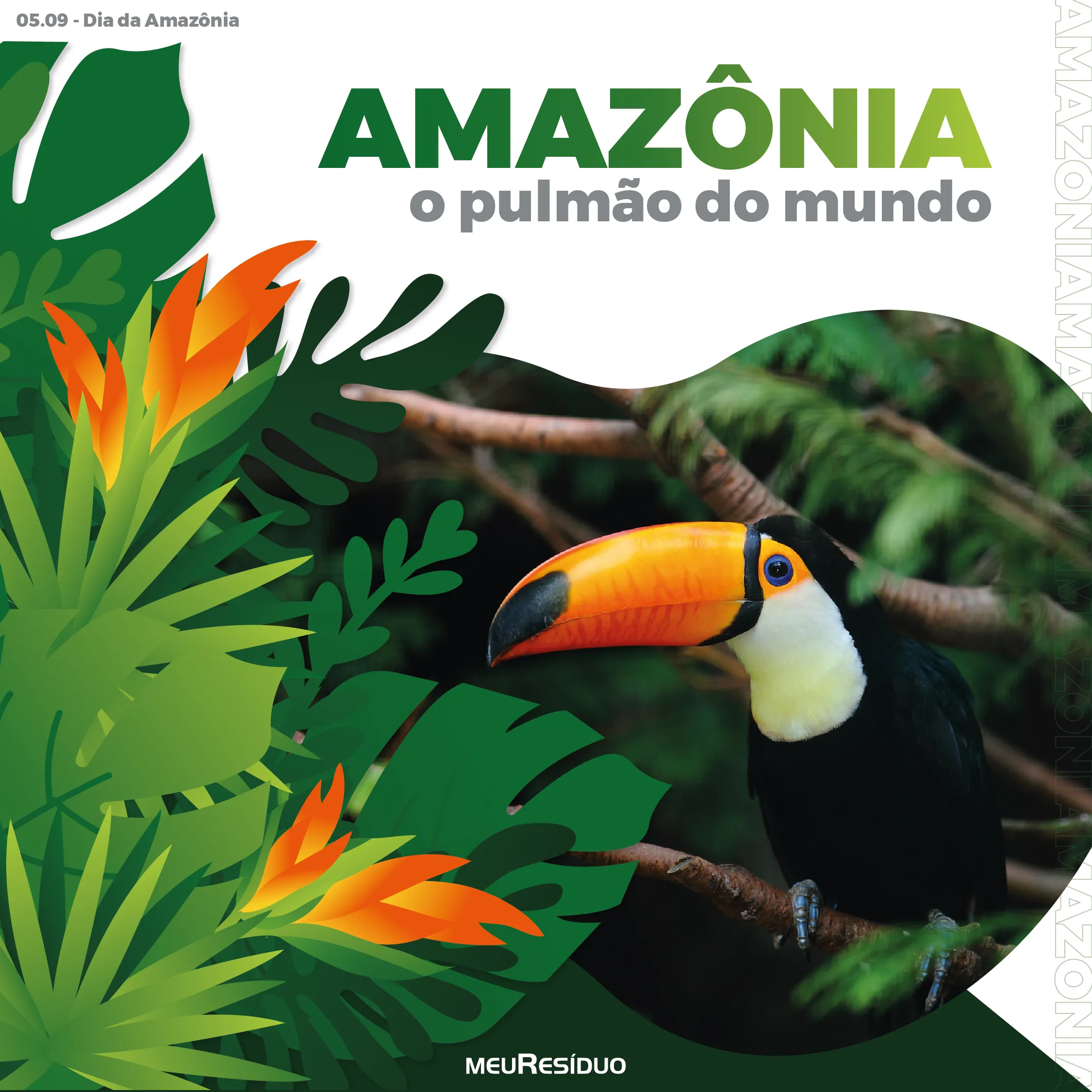 Amazônia: O Pulmão do Mundo - meuResíduo